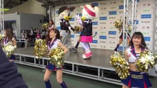 2017.4.29(土)ロッテ M☆Splash!! inメッドライフドーム1