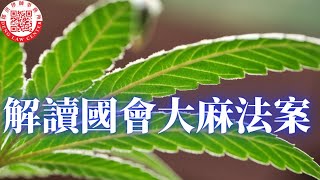 國會眾議院通過大麻合法化法案，將大麻從管制毒品中除名，清除所有大麻犯罪記錄，征收大麻稅。現時十八州大麻合法，但是仍需國會參議院及拜登總統的支持才能通過大麻合法化。