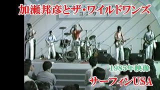 貴重映像・加瀬邦彦＆ザ・　ワイルドワンズ～サーフィンUSA 　1985年