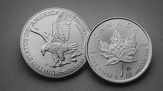 Silver Eagles vs Silver Maples: Which is Right for You?