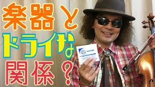 大失敗談！ヴァイオリンと湿度の関係を解説、その驚くべき大きな影響とは？