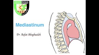 Introduction to Mediastinum