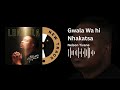 #NELSON_TIVANE - Gwala Wa Hi Nhakatsa (vídeo MP3) 2025
