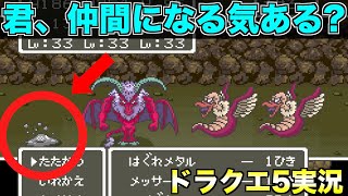 はぐれメタル、本当に仲間になるのか？【ドラクエ5実況014】