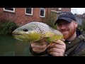 Big Trout Live in This polluted City Stream