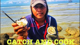 Cari Tiram Dan Makan Tiram Mentah!!Bersama Abg Rebung- CATCH AND COOK