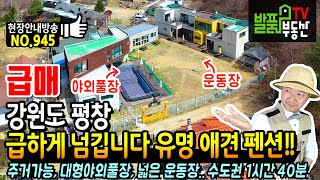 (급매) 개인적 사정으로 급하게 넘깁니다!! 강원도 평창 유명 애견 펜션 전원주택 매매 대형 야외풀장 넓은 운동장 수도권에서 1시간 40분거리 평창부동산 - 발품부동산TV