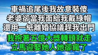 車禍追尾後我故意裝傻，老婆卻當我面給我戴綠帽，還用一紙離婚協議趕我出門，我抱著五億大獎轉頭就走，立馬迎娶她人她卻瘋了【三味時光】#落日溫情#情感故事#花開富貴#深夜淺讀#家庭矛盾#爽文