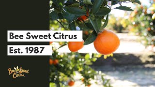 Bee Sweet Citrus: Est. 1987