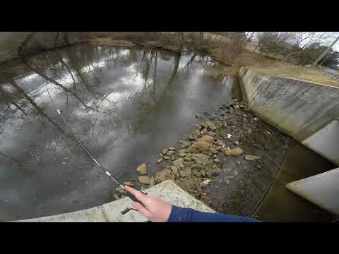 Bluegill fishing in Winter January 21, 2018 Chesapeake Bay Bluegill fishing in Winter January 21, 2018 Chesapeake Bay