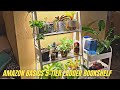 Amazon Basics 5-Tier Ladder Bookshelf Review & Test | Best Bookcases for Home Office