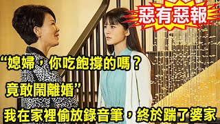 “媳婦，你吃飽撐的嗎？竟敢鬧離婚”，我在家裡偷放錄音筆，終於踹了婆家