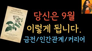 [타로🔅] ✴️9월 전체운✴️좋은 기운 받아가세요  낱낱이 파헤쳤습니다.❇︎