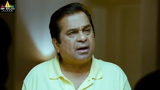 Naayak Movie Scenes | Brahmanandam Comedy with MS Narayana | Latest Telugu Comedy @SriBalajiMovies