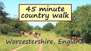 Walking In English Countryside On A Summer's Day | Treadmill Workout Scenery