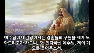 [ 십자군 기도 ] 월요일