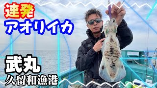 【武丸】アオリイカ釣り　確変モード突入