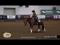 spooks for the chics ridden by ava a welman 2016 nrha futurity short stirrup