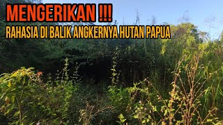 SIAPA SANGKA !!! Didalam Hutan Papua Yang Angker Terdapat Spot Mancing Ikan Nila Babon