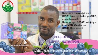 BLUEBERRY SUPER NUTRITION; ibiryo bikaba umuti ku bantu bazahajwe n'indwara ,zituruka ku mirire mibi