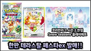 포켓몬카드 한판 테라스탈 페스타ex 1월 22일 발매!!  snowy seasons 카드 게임 주변 용품 발매