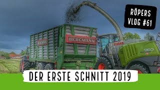 Der ERSTE Schnitt 2019