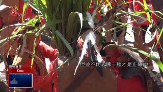 探討鄒族教育體系發展 師大阿里山辦座談 2020-06-03 Cou IPCF-TITV 原文會 原視族語新聞