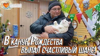 В канун Рождества выпал счастливый шанс! | Дюна