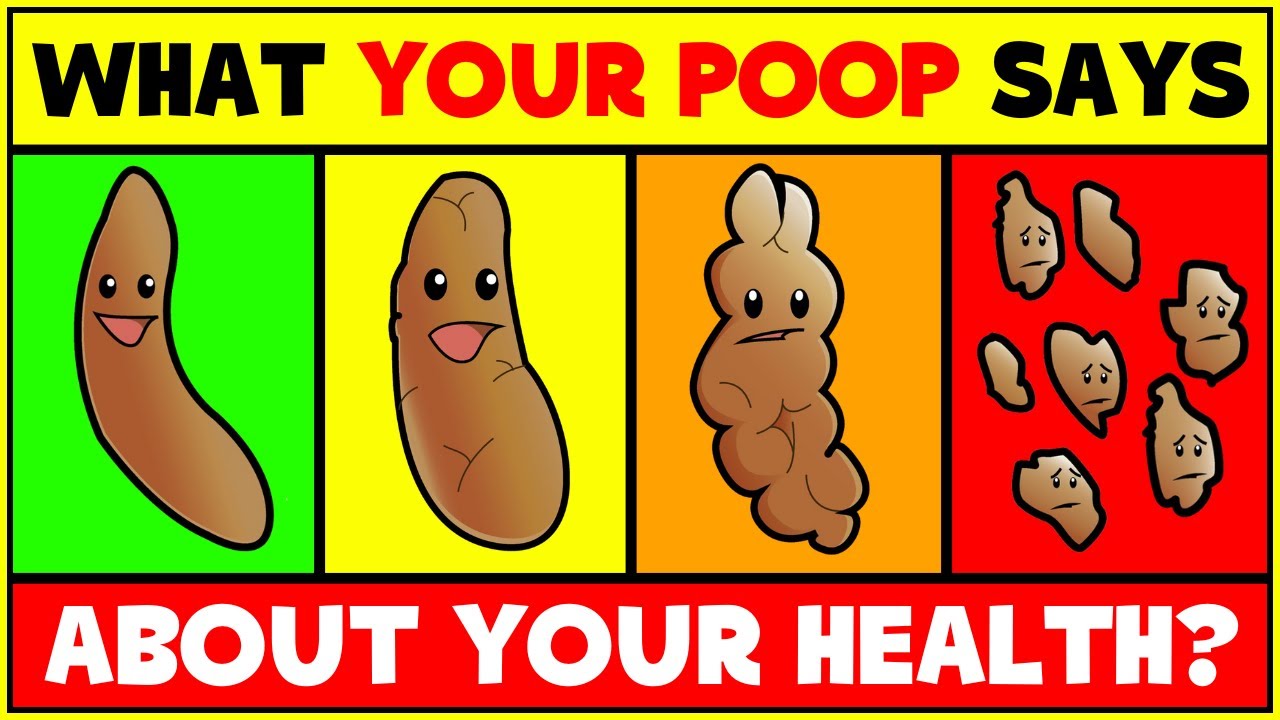 What Poop Says About Your Body At Morris Rios Blog