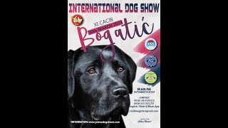 11th International Dog Show CACIB Bogatić (Serbia), March 30 2024