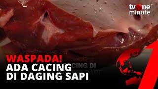 CEK DULU! Ada Cacing Berbahaya di Dalam Daging Sapi! | tvOne