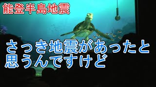 【能登半島地震】さっき地震があったと思うんですけど【タートルトーク】東京ディズニーシー