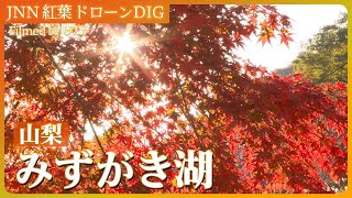 ダム湖を彩るみずがき湖の紅葉【JNN 紅葉ドローンDIG 2024】｜TBS NEWS DIG