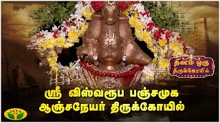 ஸ்ரீ விஸ்வரூப பஞ்சமுக ஆஞ்சநேயர் திருக்கோவில்  | Dhinam Oru ThiruKovil | JayaTv