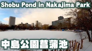 雪が積もったので中島公園菖蒲池の周辺を歩いてみた　Shobu Pond in Nakajima Park