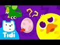 Whose Egg ♪ Guess What | Animal Songs | Tidi Songs for Children ★TidiKids