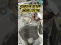 Adukan  beton Untuk loster