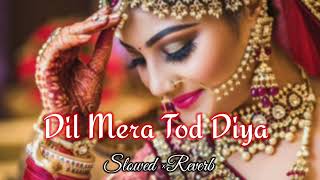   Dil Mera Tod- Alka Yagnik (Slowed and Reverb) Lofi Song Hindi Sad Song Lyrics