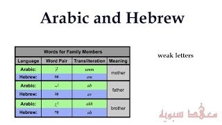 Arabic and Hebrew: which is more precise?
