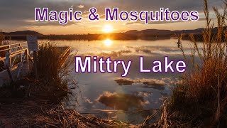 Flight time:birds, bees, \u0026 mosquitoes Mittry Lake Yuma AZ  #SoloNomad #boondocking