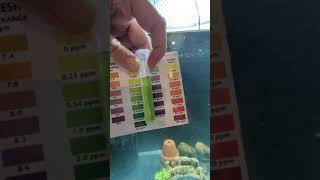 Don't trust seachem alert water testers #nature #relaxing #aquarium #fish