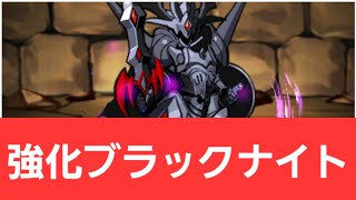 【パズドラ】超ブラックナイトが強すぎてヤバい！！【ぶっ壊れ】【最強】【人権】【環境1位】【新百式】【新千手】【新万寿】【新凶兆】