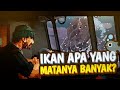 Ikan, Ikan Apa yang Matanya Banyak??? - Dredge - Part 3