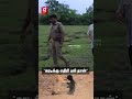 🐘“எந்த கொம்பனாலும் தப்பிக்க முடியாது..”🦣ranger sathish interview🌳🏞️💚