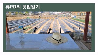 텃밭일기2 - 3월,4월 밭갈기. 감자심기