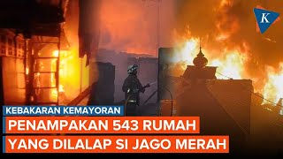 Penampakan Kebakaran di Kemayoran yang Hanguskan 543 Rumah