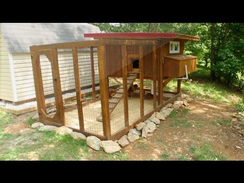 Backyard chickens - Chicken coop tour- Easy to clean Backyard chickens - Chicken coop tour- Easy to clean