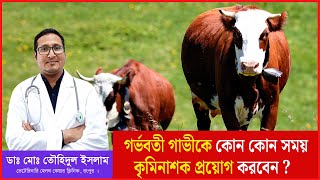 গর্ভবতী গাভীকে কোন কোন সময় কৃমিনাশক প্রয়োগ করবেন ? গরুর কৃমিনাশক এর নিয়মাবলী । Dr.Touhidul Islam