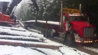 Kenworth Logging