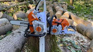 Felling and bucking poplar with 2 MS 500I's